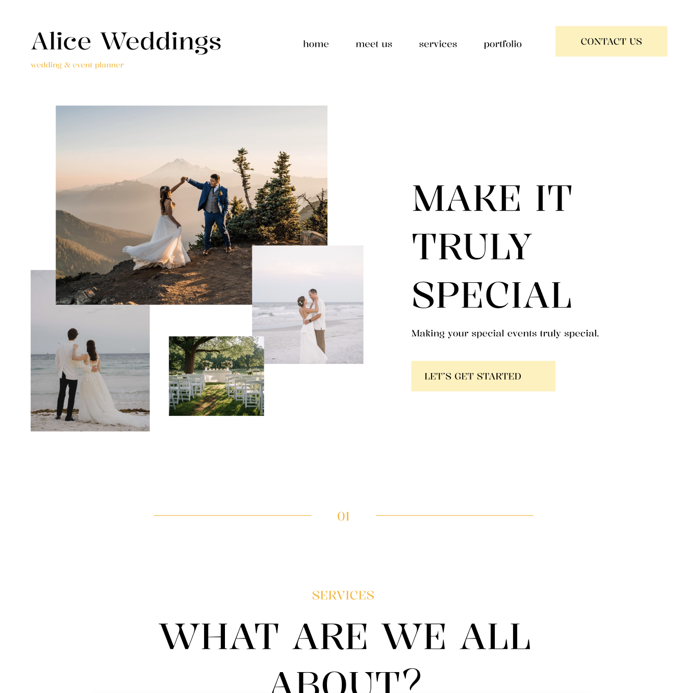 Premium web design showcase